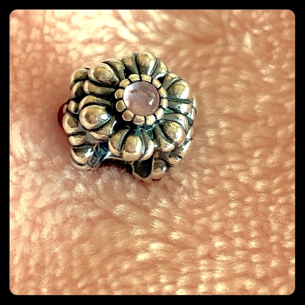 Authentic Pandora charm